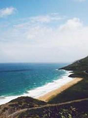 One Pregnancy, Two B