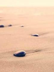 Shen Ning, Ran, Bo J