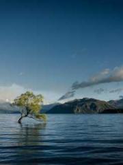 A Second Marriage Mo