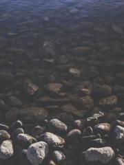 lt;The Dragon Discar