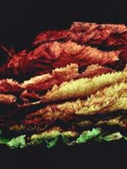 Billions of Blessing Billions of Blessing