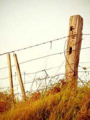 lt;Natural Disasters