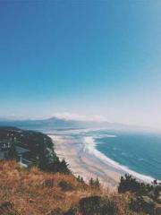 Transmigration: Feel