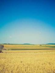 The Heavenly Physici The Heavenly Physici