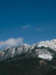 A Lifetime of Captiv A Lifetime of Captiv