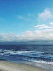 Rebirth as a Court A