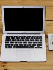 Two Treasures Arrive