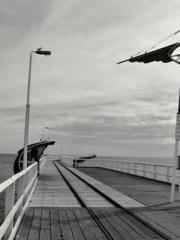 lt;lt;The Trash Husb