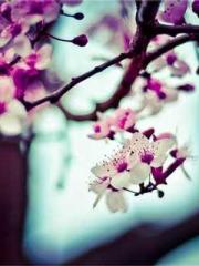 lt;lt;lt;Visionary S