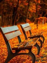 lt;The misfortune of