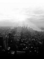 Reborn as the Belove Reborn as the Belove