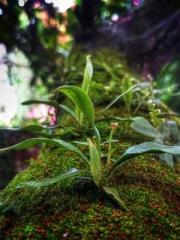 lt;lt;lt;Riding the lt;lt;lt;Riding the