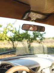 The Poisonous Doctor