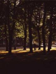 I have seven fairy g