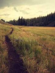 High School Campus S