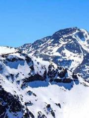 lt;lt;Rebirth: The W lt;lt;Rebirth: The W