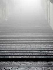 Beloved little goldf Beloved little goldf