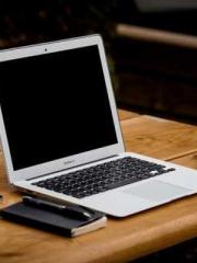 Reborn in the Apocal Reborn in the Apocal