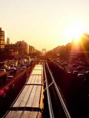 lt;Natural Disasters