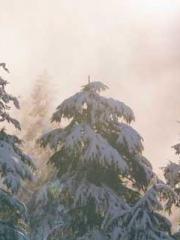 Morning sickness aft