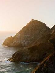 The young masterapos