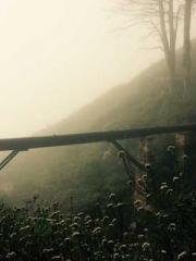 The Return of the Go