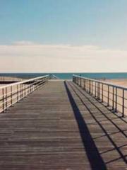 The Beloved Young Mi The Beloved Young Mi