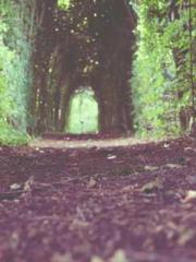 The Exclusive Daught