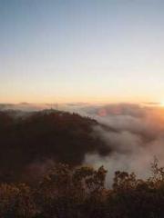 Reborn in the Apocal