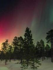 Become a big shot in