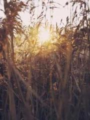 The Best Little Body