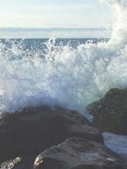 lt;lt;lt;Reborn Soar