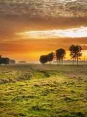 Falling for You: The