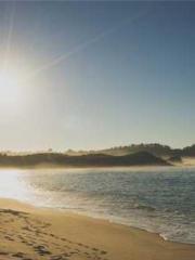 lt;lt;lt;The Peerles