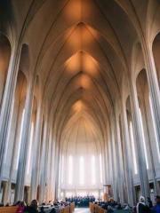 The Poisonous Doctor The Poisonous Doctor