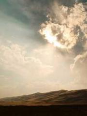 The Favorite Concubi