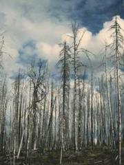 lt;lt;lt;Qinghu Jian lt;lt;lt;Qinghu Jian