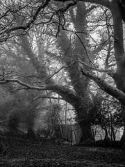 Super Dimensional Me Super Dimensional Me