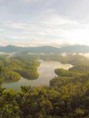 Mr. Huo, please be a Mr. Huo, please be a